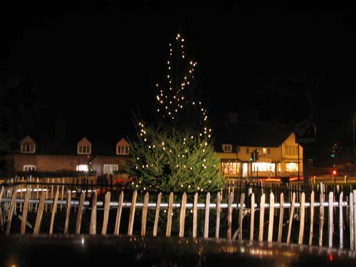 Christmas Tree at Eves Corner - Dec 2007