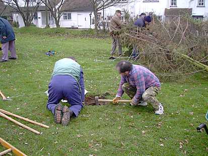 Clearing the 
             hole to put the trunk of the tree in.