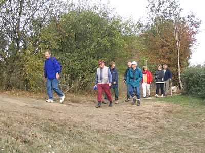 The walkers as they stream through a hedge led by David Moore.