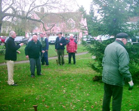 Around the new tree.