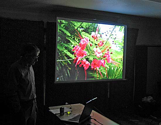 One of the many flower photos shown