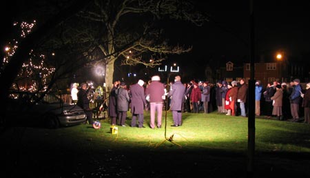 Tree in early evening