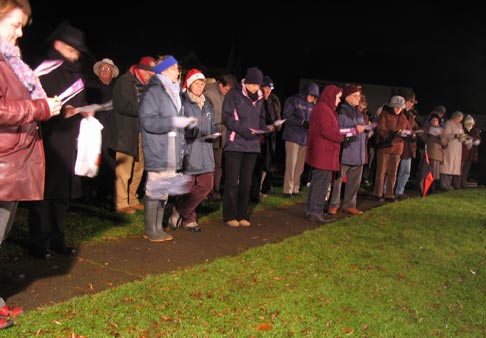 Tree in early evening
