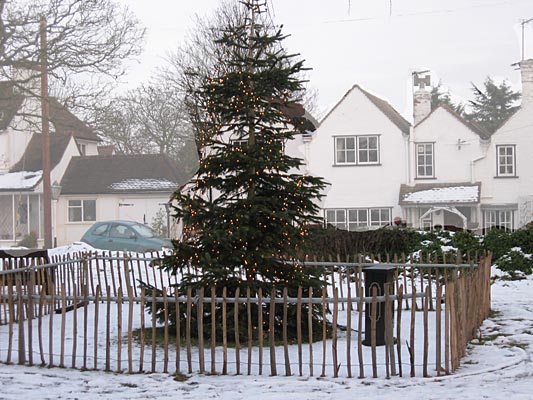Carols around the tree.