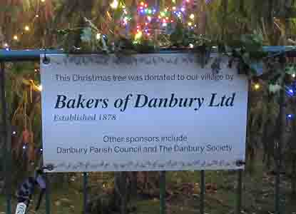 Christmas Tree at Eve's Corner