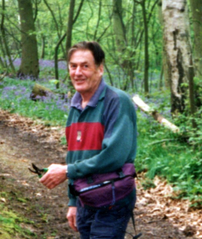 David Bolwell