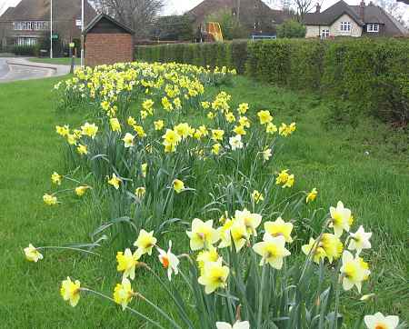 Opposite the Dentist's