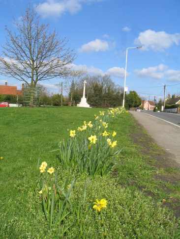 Elm Green, picture taken 9 April