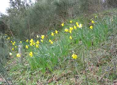 Bank opposite the Library