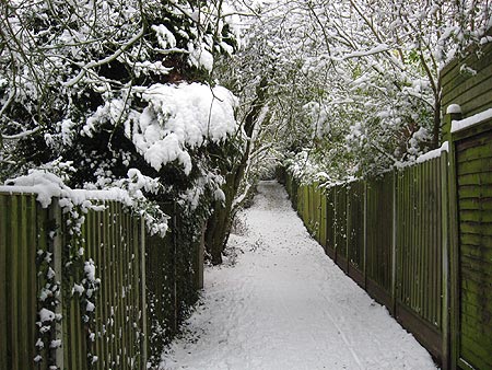 Snow in 2010