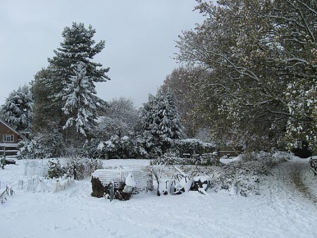 Snow in 2010