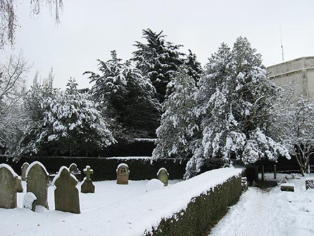 Snow in 2010