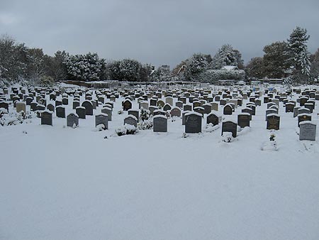 Snow in 2010