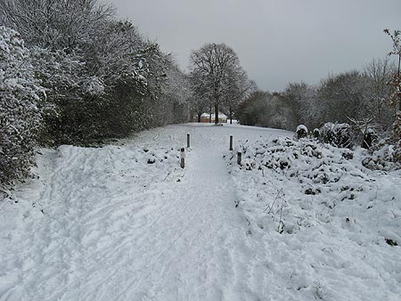 Snow in 2010