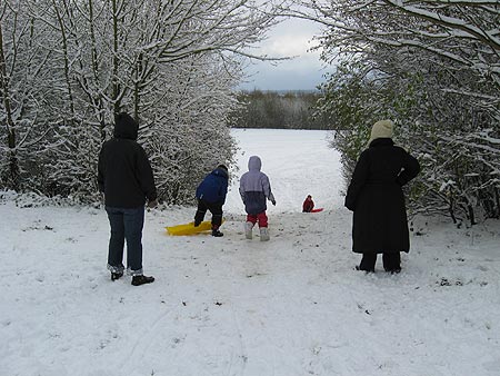 Snow in 2010