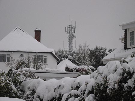Snow in 2010