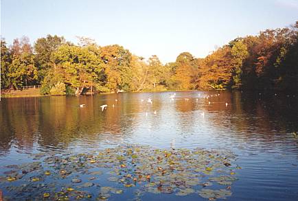 The Middle Lake in Autumn (12)