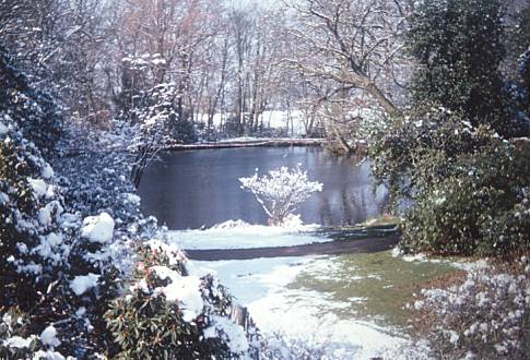 The Lower Lake in Winter (13)