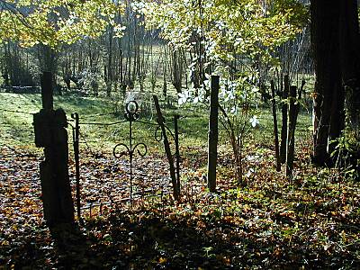Lingwood Common taken by Janet Reid(7)